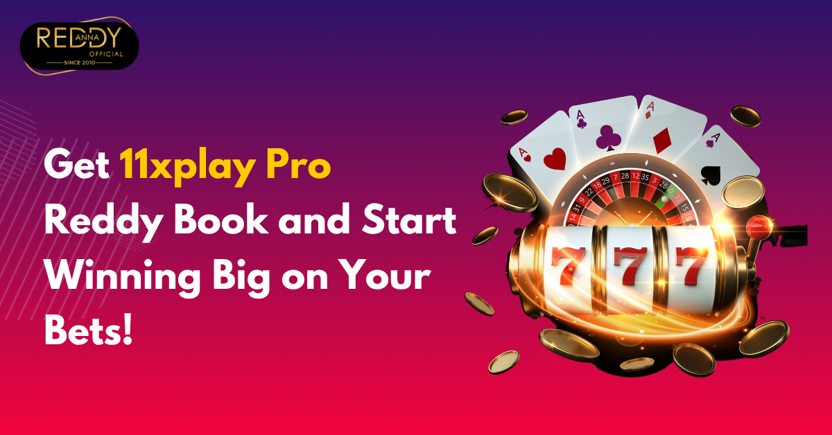 11xplay pro